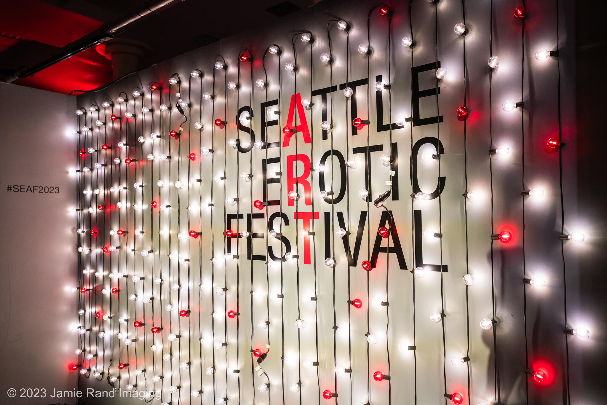 All eyes to the stage! - Seattle Erotic Art Festival