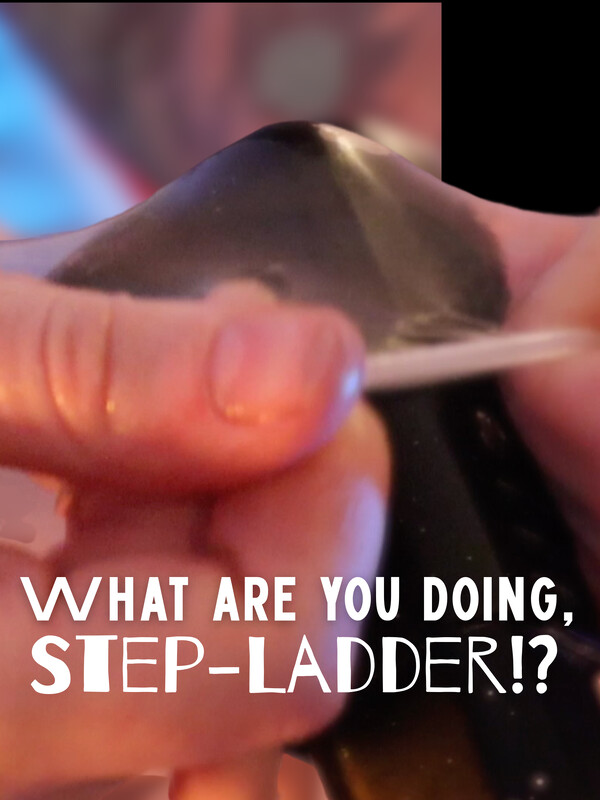 2026 PEFF Feature Film Showcase 03 what are you doing stepladder