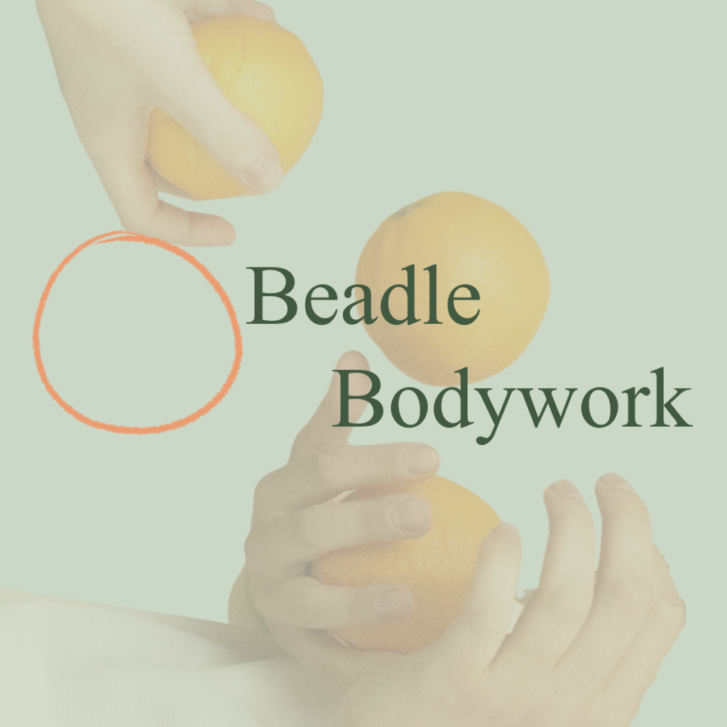 beadle bodywork logo