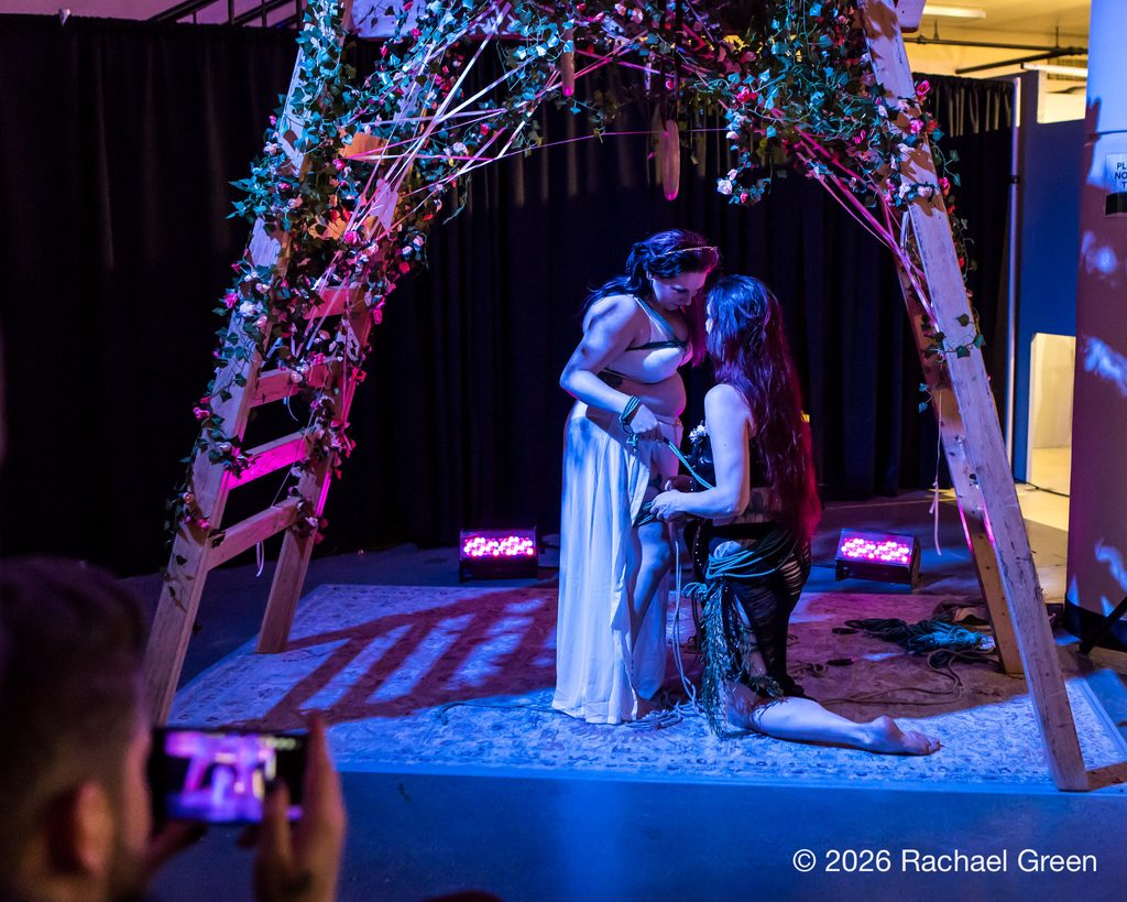 Wicked and Wonderful Performances graceling+ophelia dagger